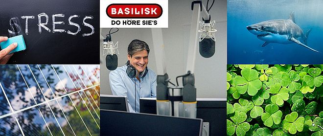 Forschen - und darüber reden - auf Radio Basilik und vor Ort an der Wirtschaftswissenschaftlichen Fakultät