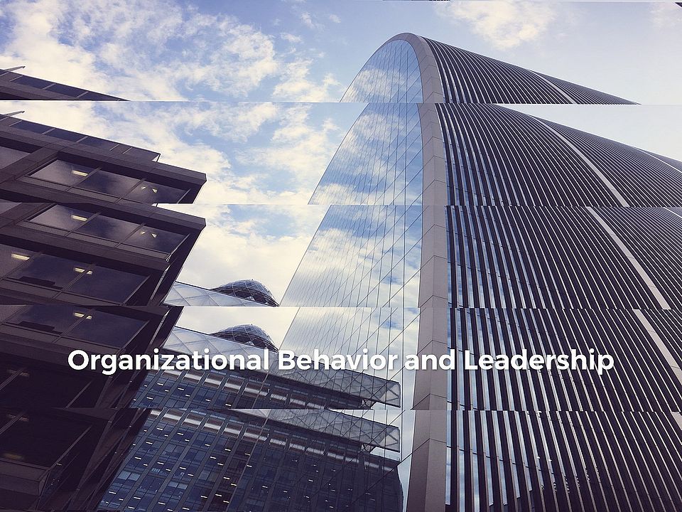 Organizational Behavior and Leadership