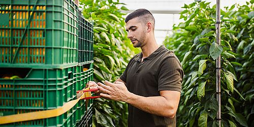Nutzung und Wirkungen von Zwischenverdiensten