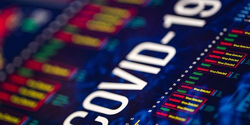 The COVID-19 Stockmarket Downturn: Expected Growth or Discount Rate?