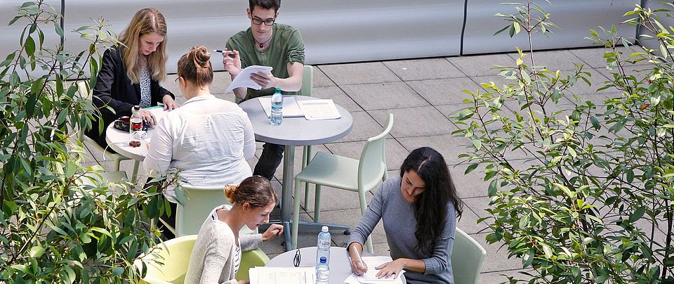 Summer School Courses