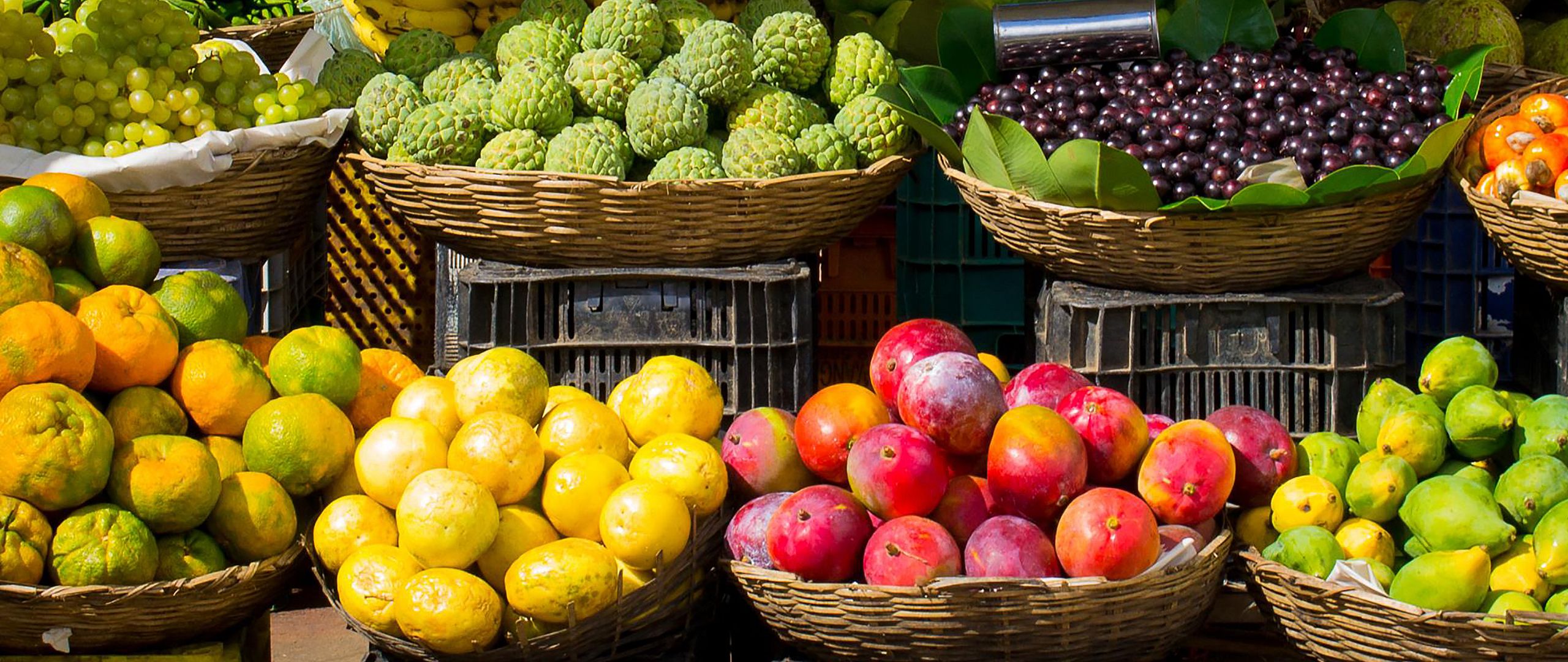 Fruit Market